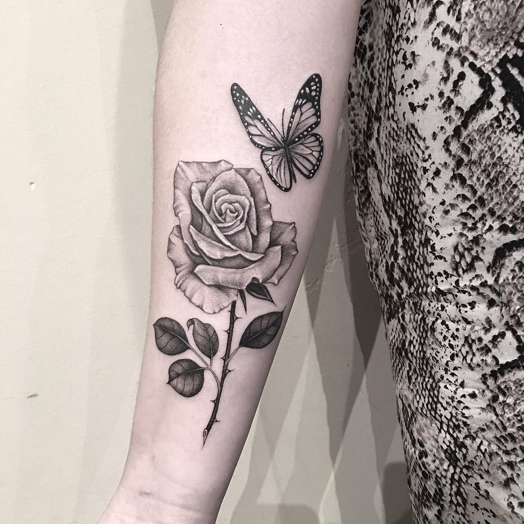 Flower, Rose, Animal, Nature