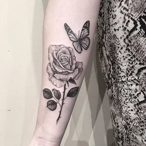 Flower, Rose, Animal, Nature
