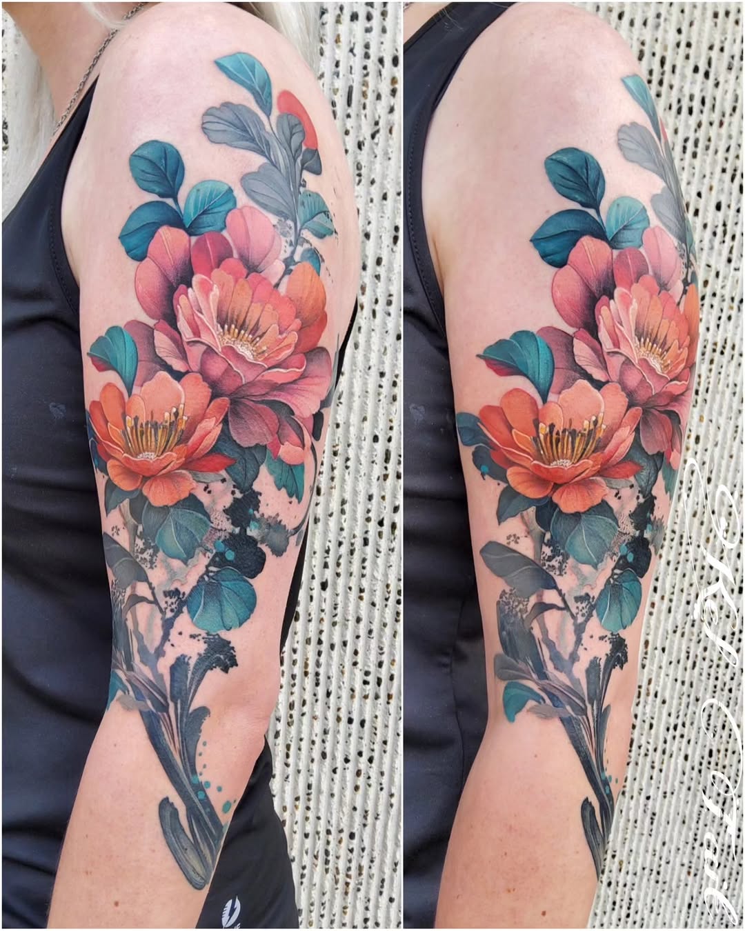 Flower, Rose, Nature