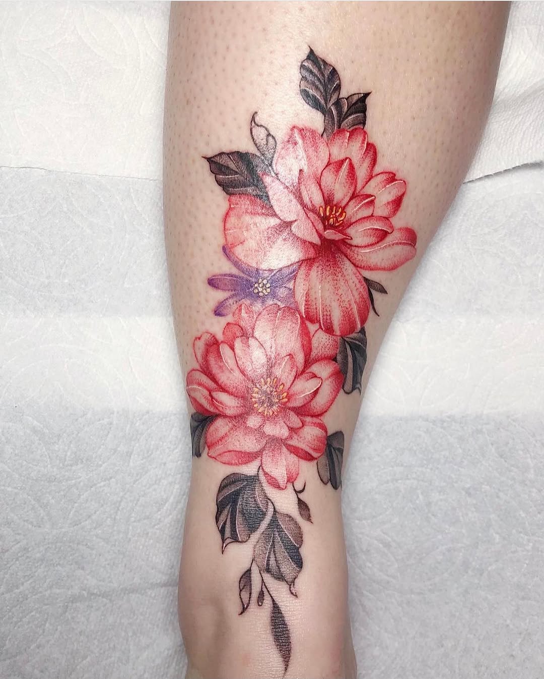 매화, Flower, Rose, 모란, 목련, 벚꽃, 꽃다발, 꽃 배경