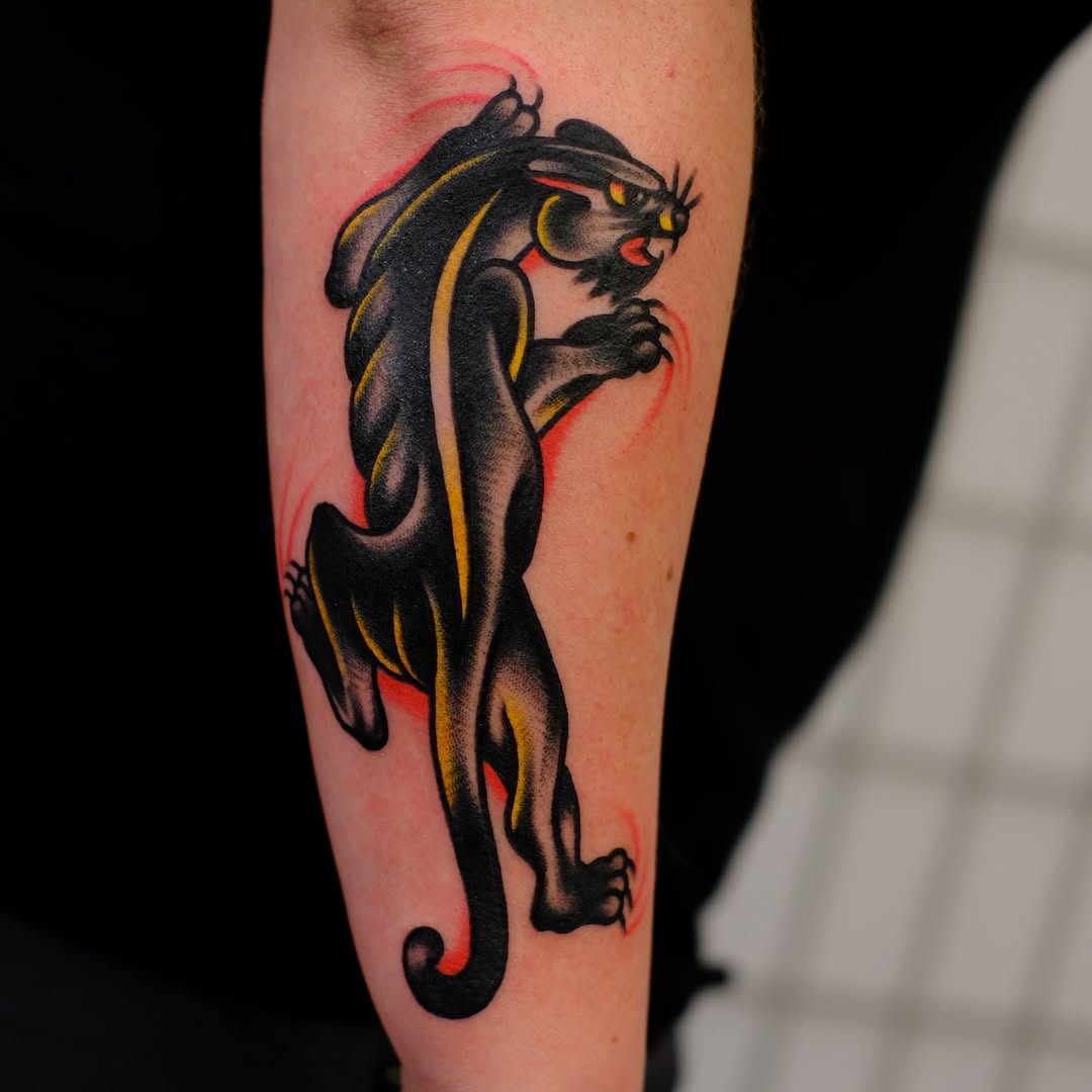 Animal