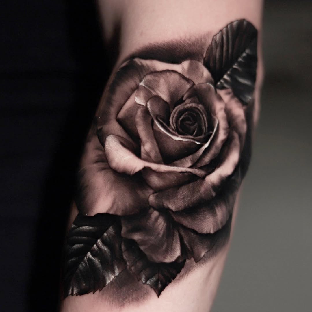 Flower, Rose