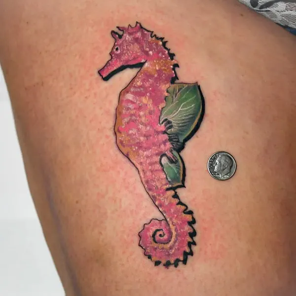 Dragon, 해마