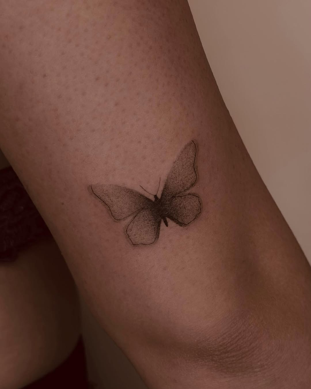 Animal, Nature, 잠자리, 매미