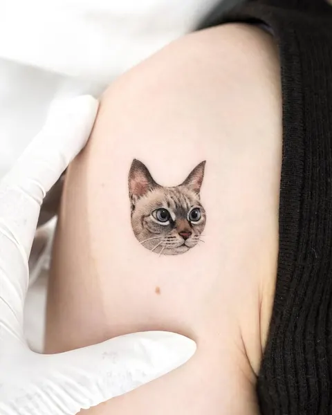 고양이, 여우 가면