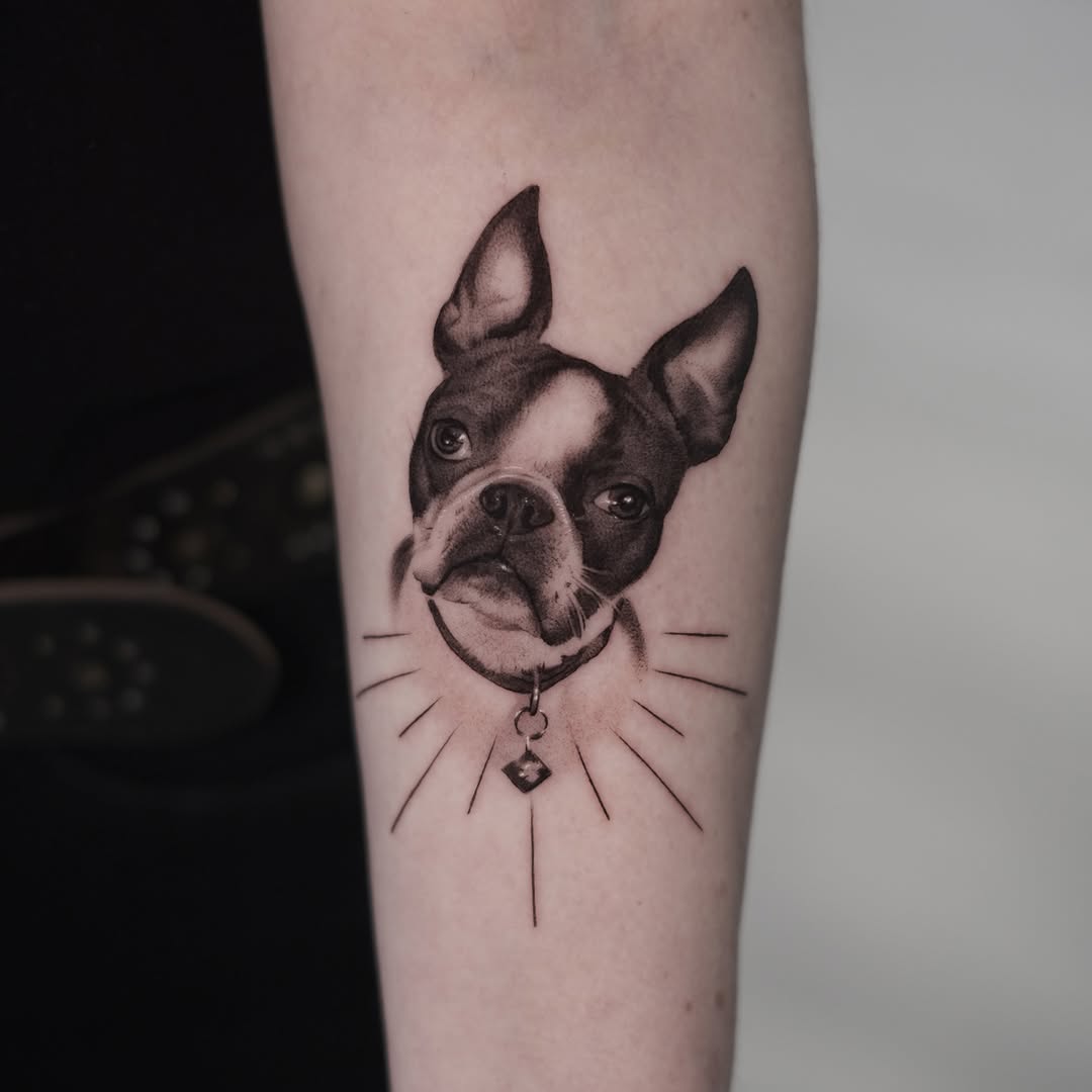 Animal, 강아지