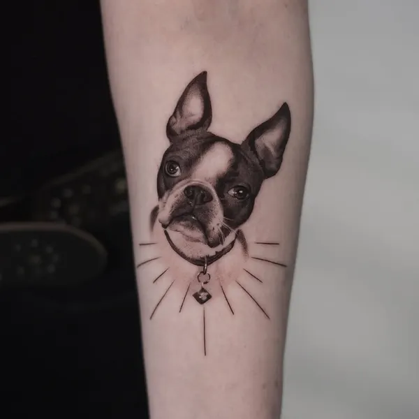 Animal, 강아지