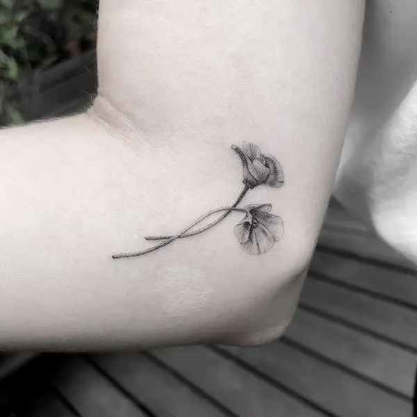 Flower, Rose