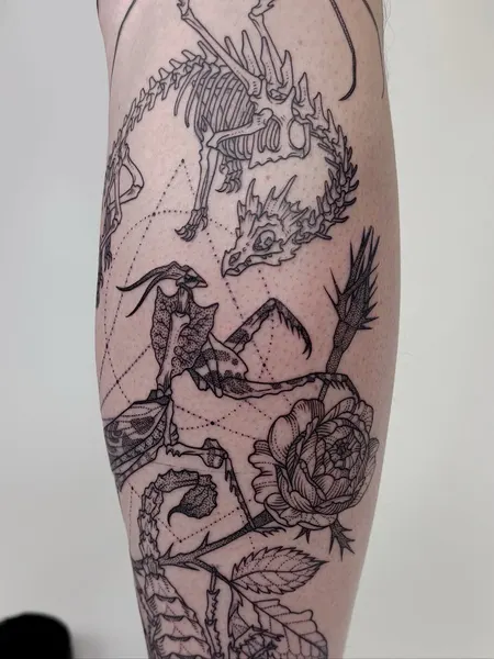 Dragon