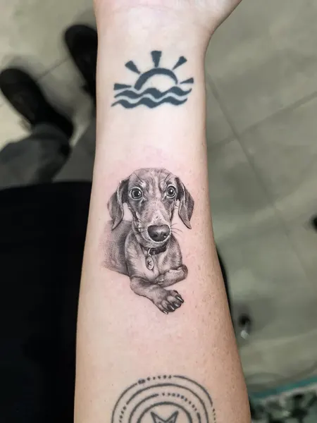 Animal