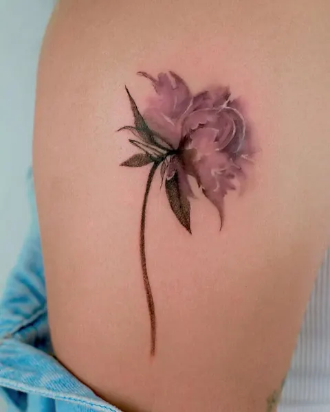 Flower, Rose, 모란, 아이리스, 난초, 히비스커스