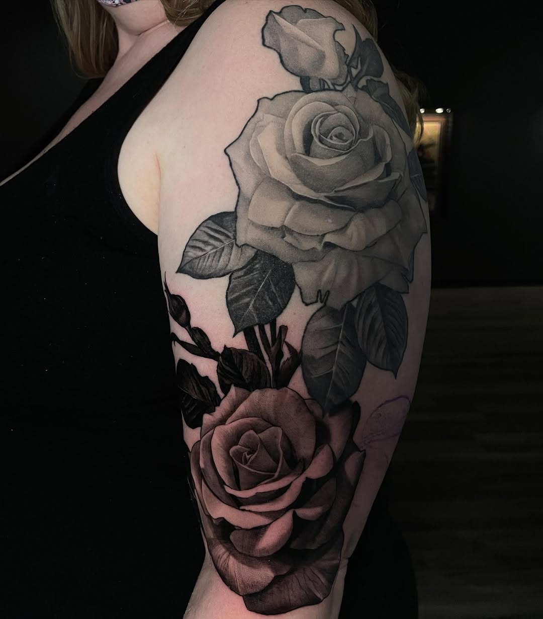 Flower, Nature, Rose