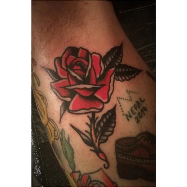 Rose, Flower
