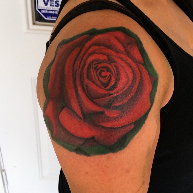 Flower, Rose, Nature