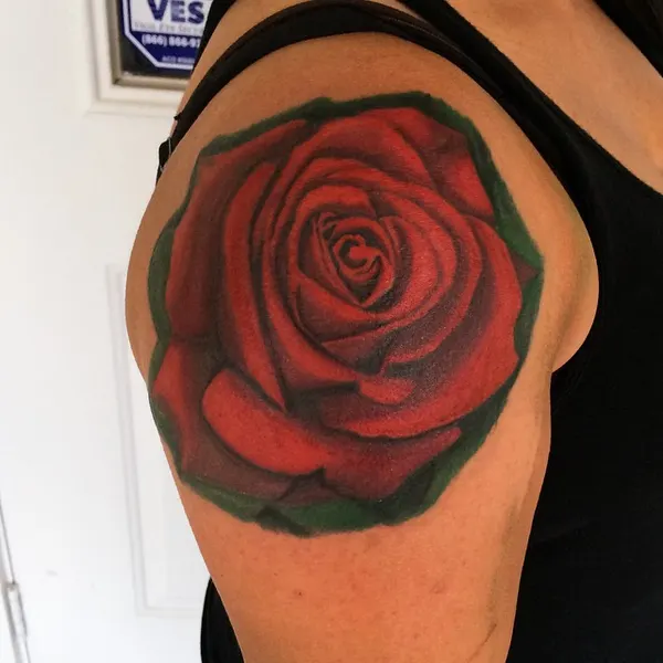 Flower, Rose, Nature