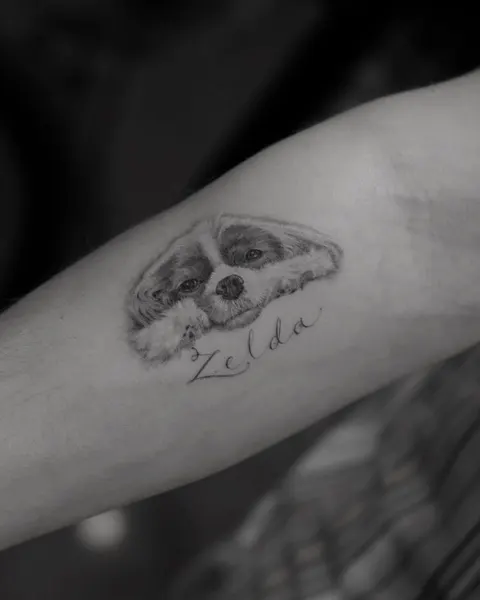 Animal, 개구리