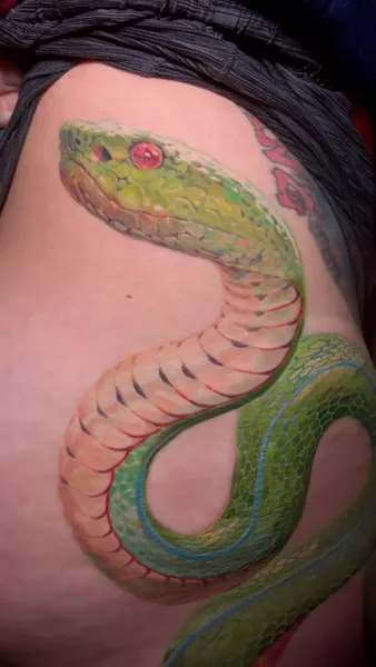 Dragon, 도마뱀