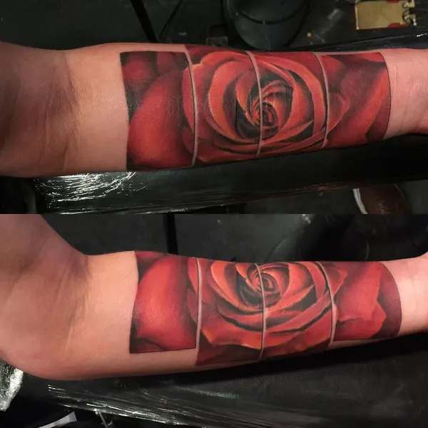Flower, Rose