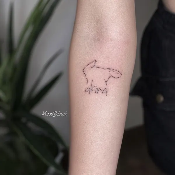Animal