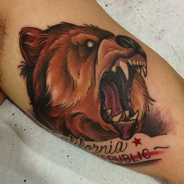 Animal, Tiger