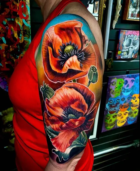 Flower, Rose, 양귀비