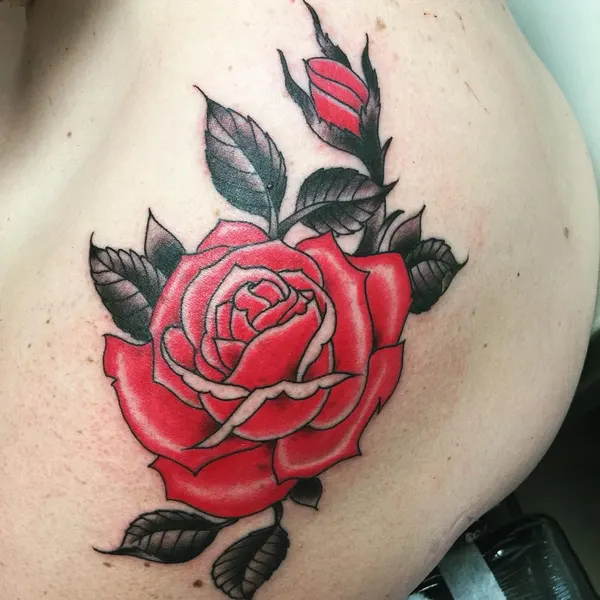Rose, Nature, Flower