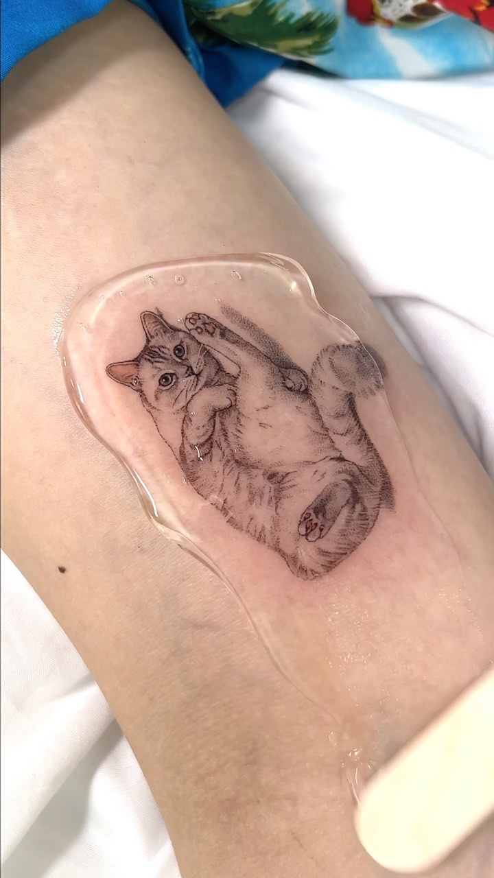 쥐, 토끼, 다람쥐