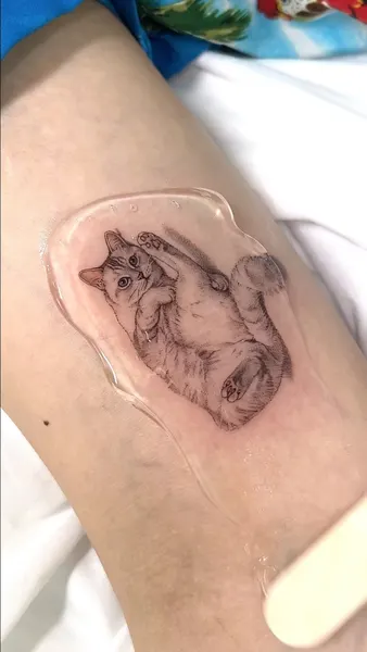 쥐, 토끼, 다람쥐