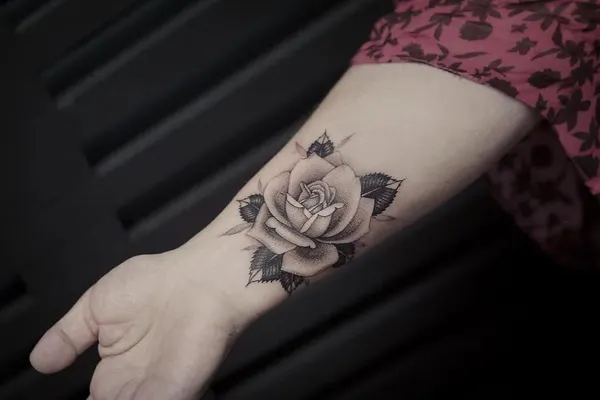 Flower, Rose