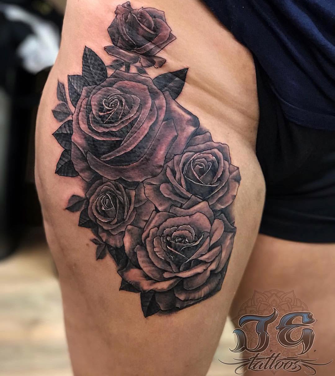 Flower, Rose, Nature
