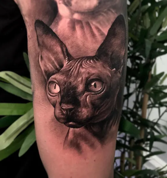Animal