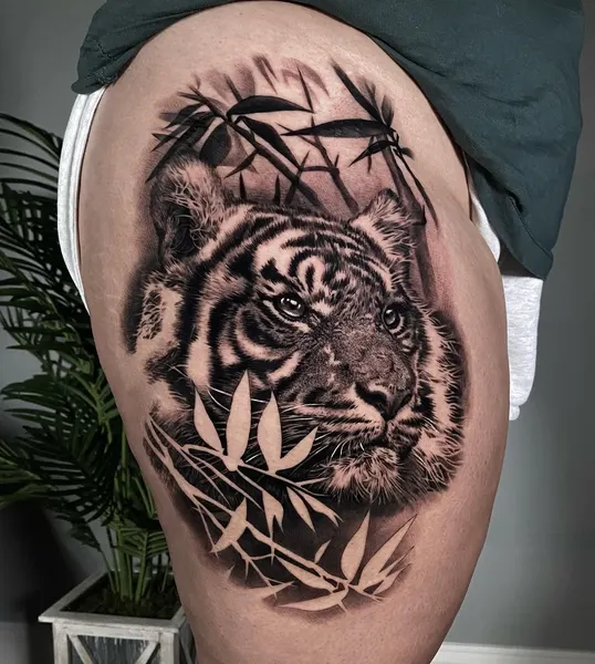 Tiger