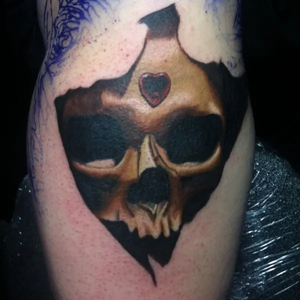 Skull