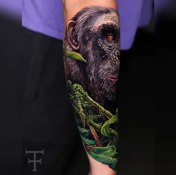 Tiger, Animal