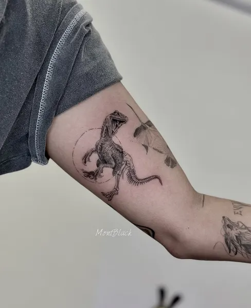 Dragon, 염소자리