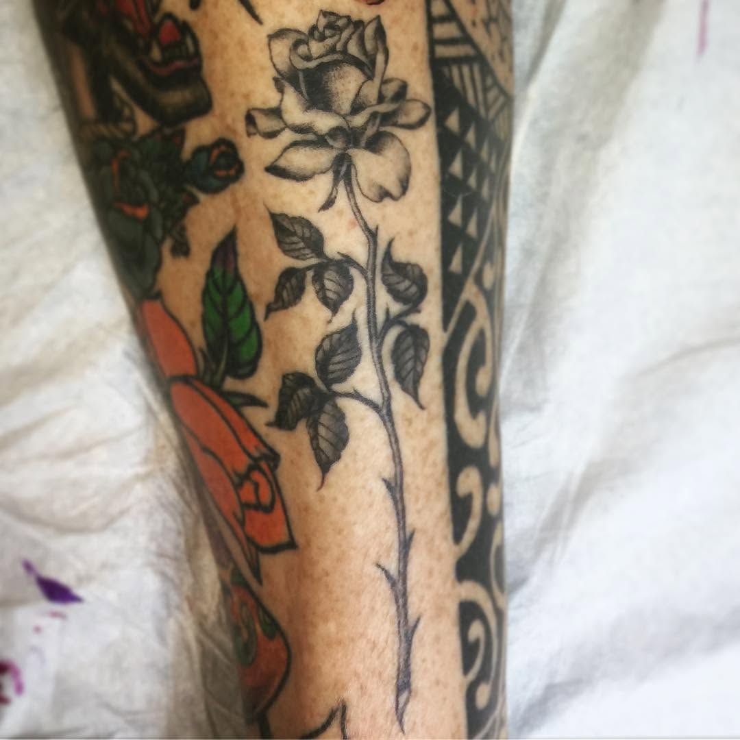Rose, Flower
