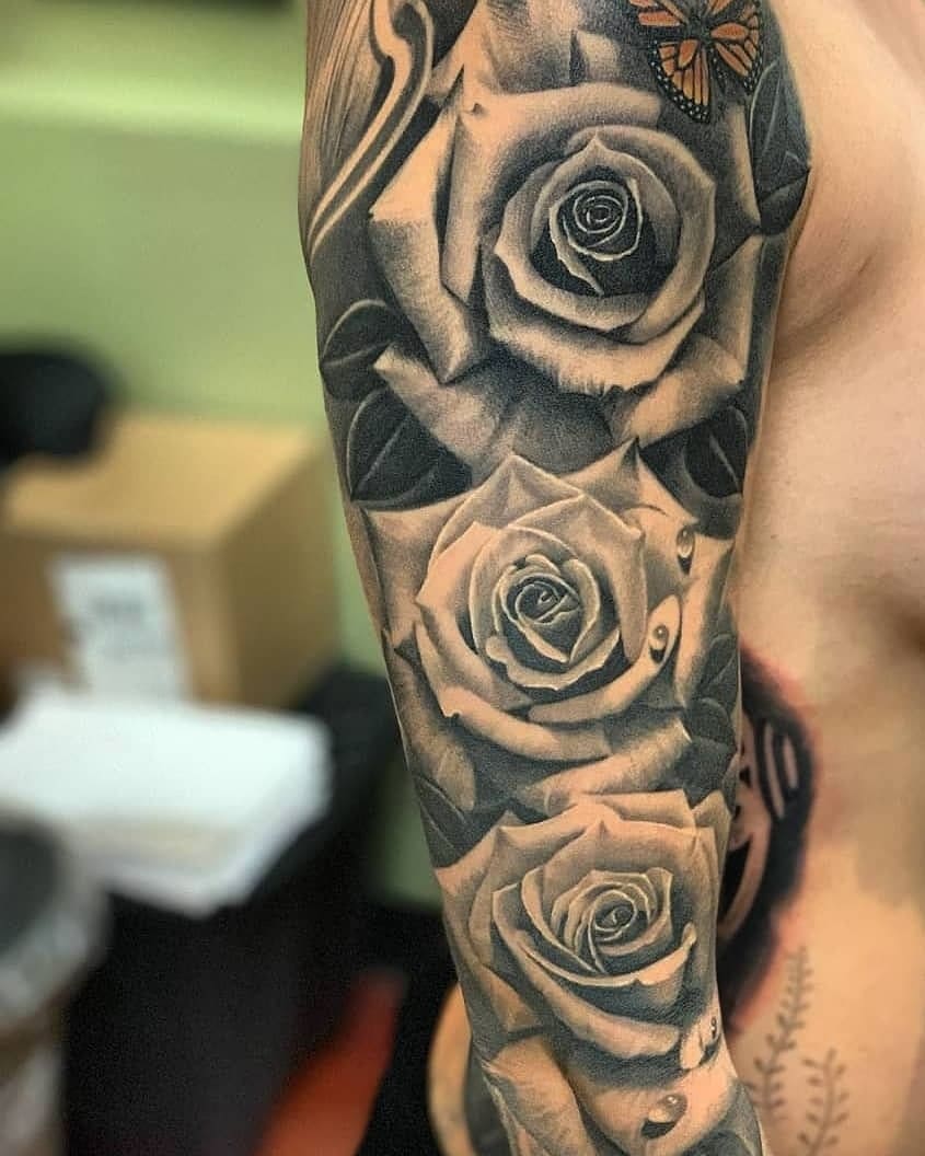 Flower, Rose, Nature