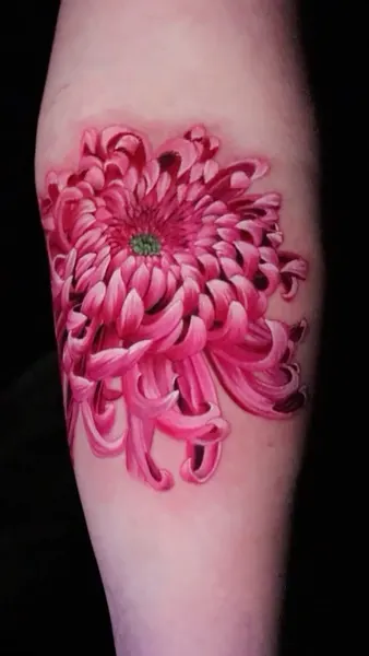Flower, 국화
