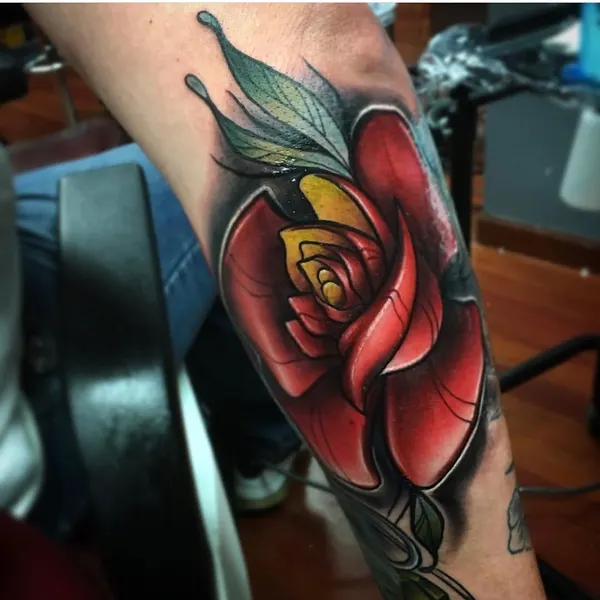 Flower, Rose