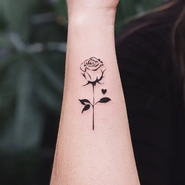 Flower, Rose