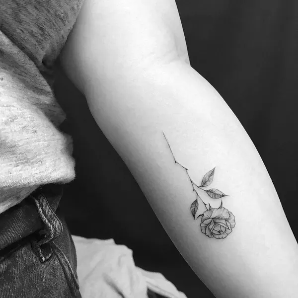 Flower, Rose