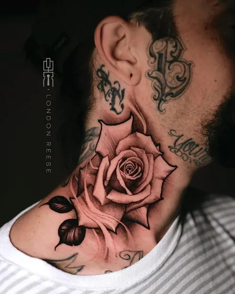 Rose, Nature, Flower