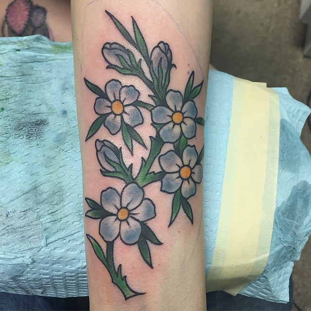 Rose, Flower