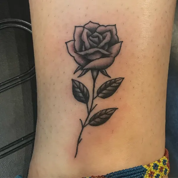 Flower, Rose