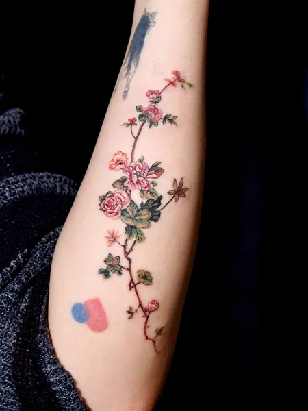 Flower, Rose, Nature