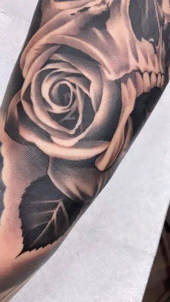Flower, Rose