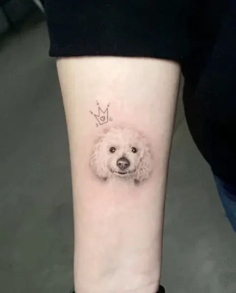 Animal, 반려동물 추모