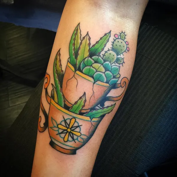 Flower, Rose, 선인장