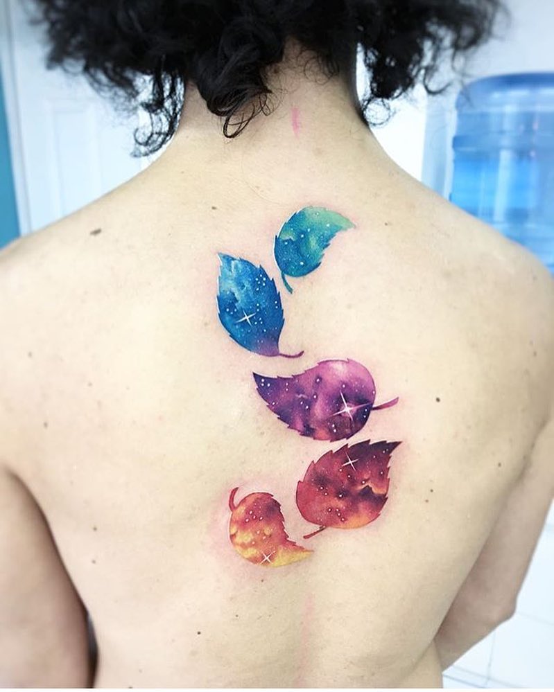Flower, Nature, 조개껍데기