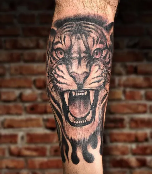 Tiger, 치타, 팬서, 표범, 재규어, 사자자리, 중국 호랑이, 한국 호랑이, 일본 호랑이